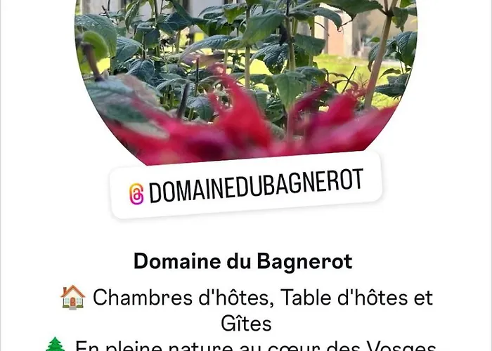 La Mansarde Lejlighed La Chapelle-aux-Bois